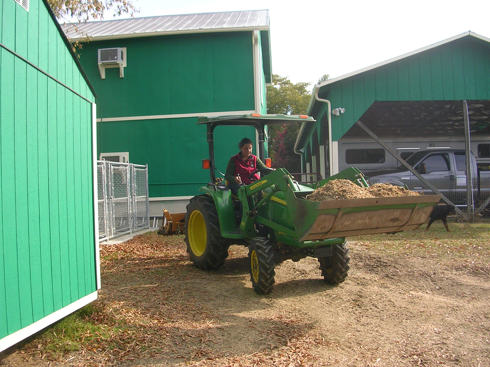 Beth at the Wheel